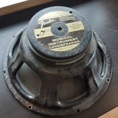 Fender 12 inch speaker