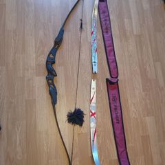 Recurve bow + 2 limb sets