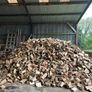 Hardwood Firewood Image 3