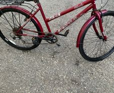 ladies Bike