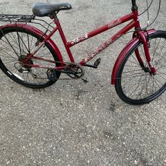 ladies Bike