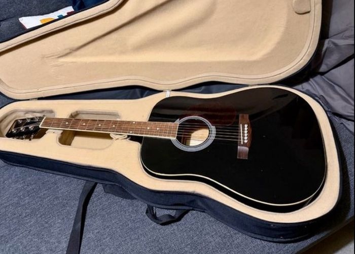 acoustic guitar