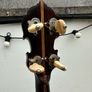 Paramount Leader banjo Image 9
