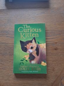 The curious kitten