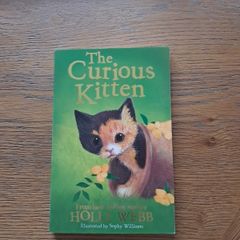 The curious kitten