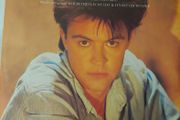 Paul Young - Love of the Common People - 12" single