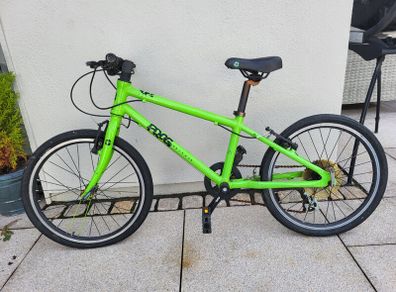 Frog Bike 55