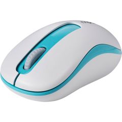 RAPOO Wireless Optical Mouse
