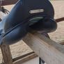 Dressage Saddle - Voltaire Adelaide Image 3