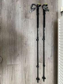 Hiking Sticks
