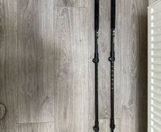 Hiking Sticks
