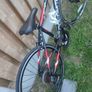 bike Image 6