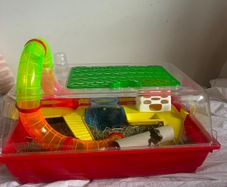 hamster cage