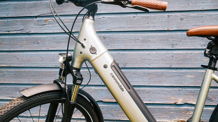 Cannondale Adventure Neo 2