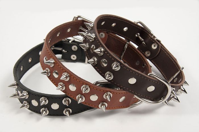 Dog Genuine Leather Spiked Collar