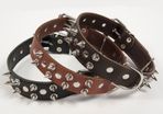Dog Genuine Leather Spiked Collar