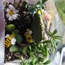 indoor plant Image 5
