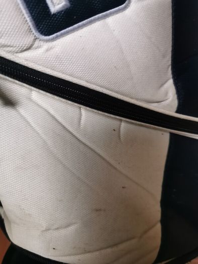 ping golf bag