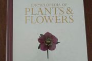 Encyclopedia of Plants and Flowers