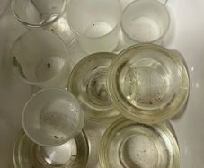 12 T- Light Holders