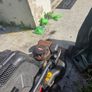 Lawnmower  FREE Image 2