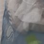 Sliver shoes Image 2