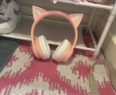 Kids cat headphones,case and charger