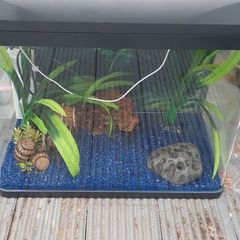 aquarium