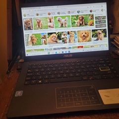 ASUS laptop