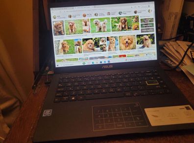 ASUS laptop