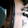bog oak Offaly Image 3