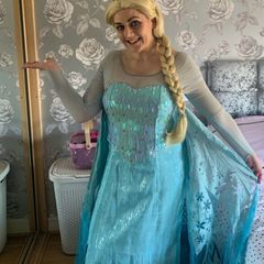 Adult Elsa Dress , Wig