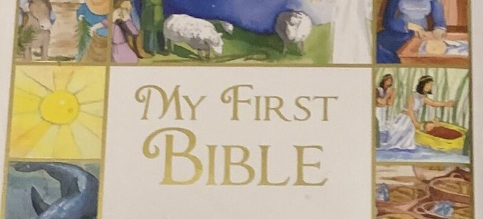 M&S Bible