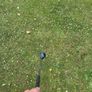 Callaway Big Bertha Driver Image 3