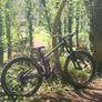 Stolen Trek Fuel Ex7 Image 7