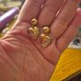 Vintage Heart Earrings Image 4