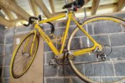 Fausto coppi ladies road bike