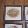 vintage tablemats Image 2