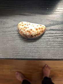 antique snuff box