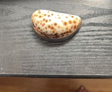 antique snuff box