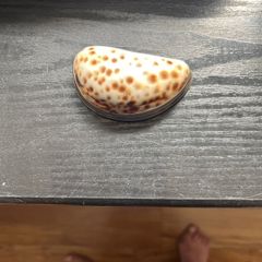 antique snuff box