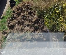 soil 4 tonne approx