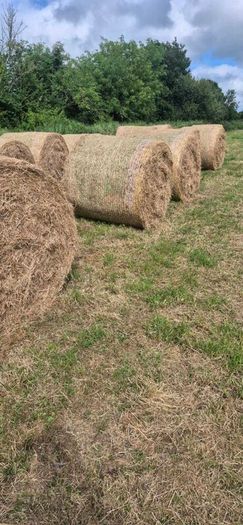 Organic meadow hay