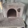 cat tree Image 3