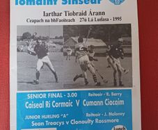1995 Hurling Programme,signed by S.O Riain
