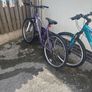 bike Image 2