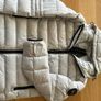 White canada goose Image 4