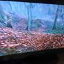 Jvc video recorder and Panasonic  tv Image 6