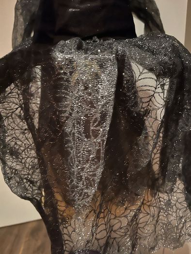 Halloween witch costume