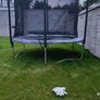 Berg trampoline Image 2